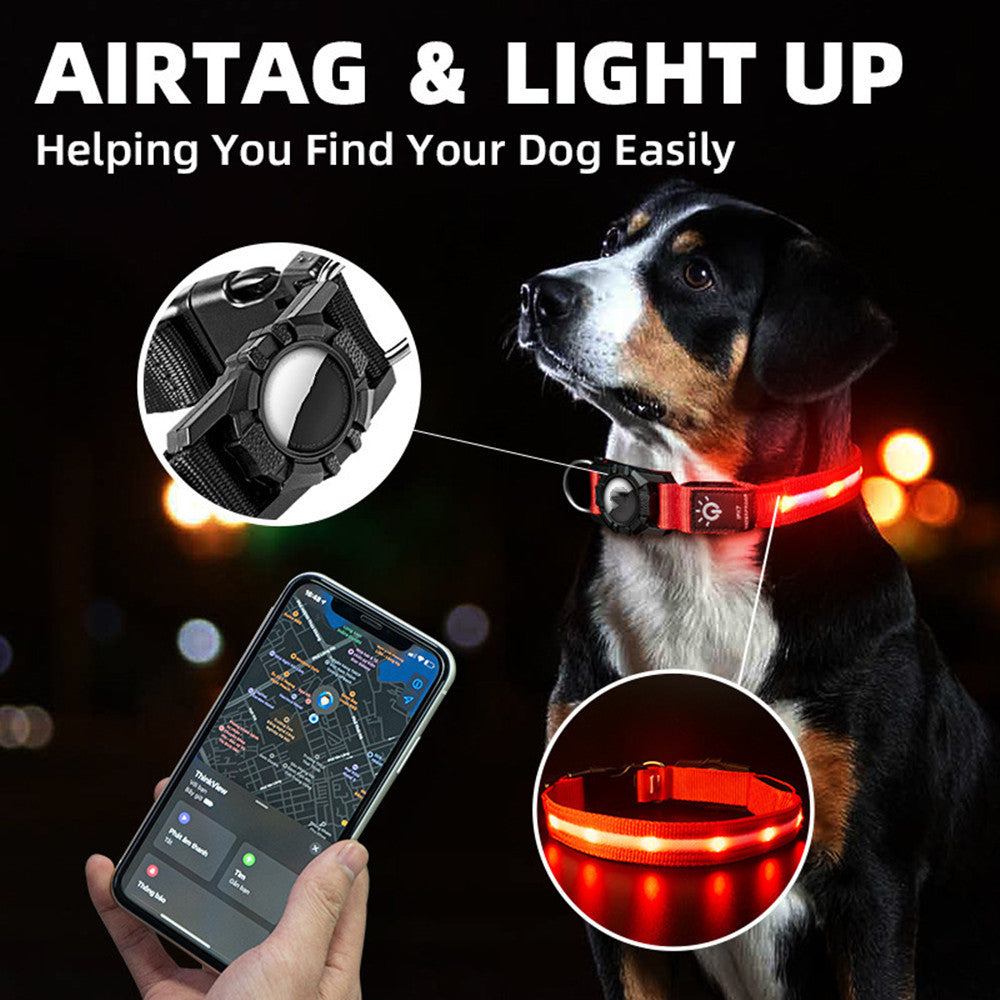 Pet Accessories